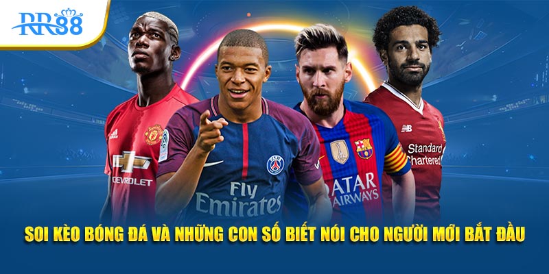 Soi kèo bóng đá và những con số biết nói cho người mới bắt đầu